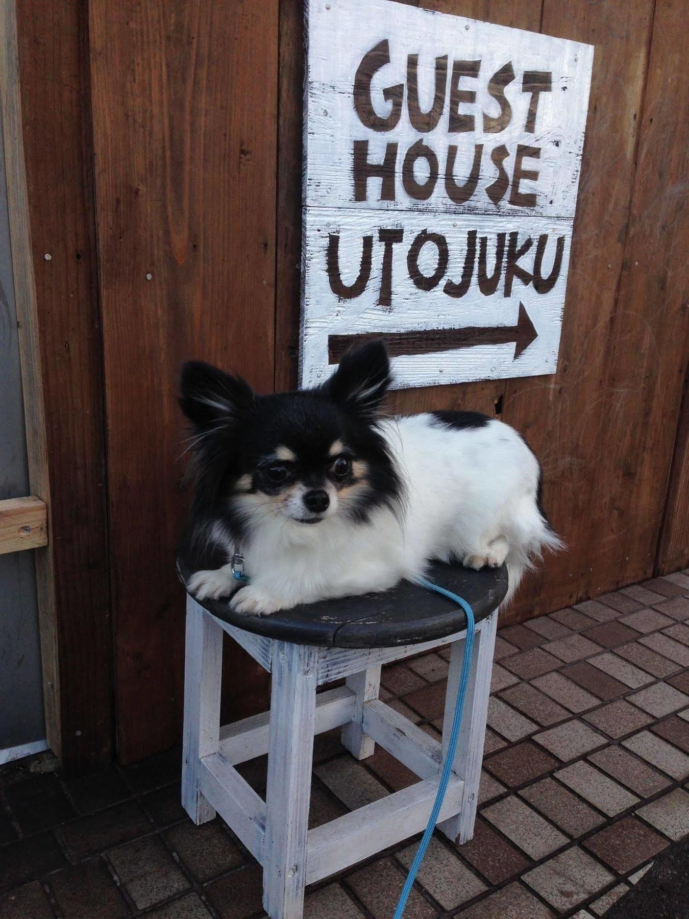 Goto Guest House Utojuku Экстерьер фото